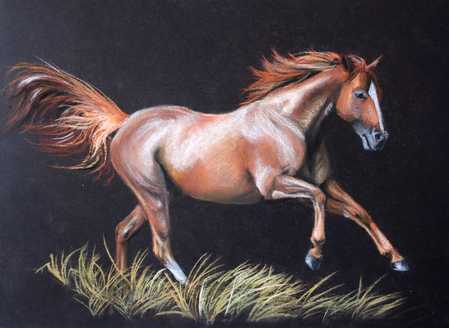 Chalk pastel drawing of a chestnut horse running in a grassy field on a black paper background