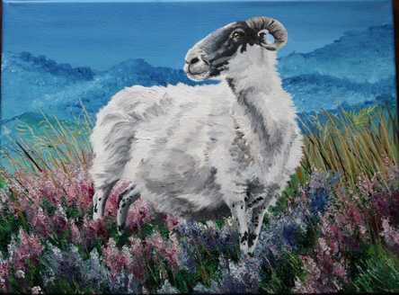 Oil painting of a black faced sheep standing in a field of heather with blue hills in the background