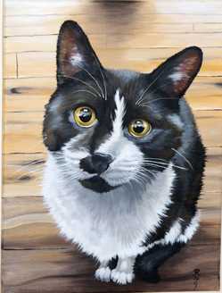 Realistic oil painting of a black and white cat with yellow eyes sitting on a wooden floor