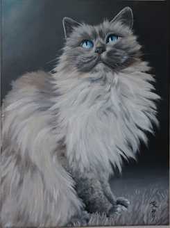 Realistic oil painting of a beige and white ragdoll cat sitting on a cream carpet with a dark background