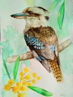 Fine detailed realistic watercolour painting of a kookaburra with Australian flowers sitting on a branch