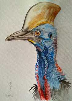 fine detailed realistic watercolour painting of a cassowary's head and feathers