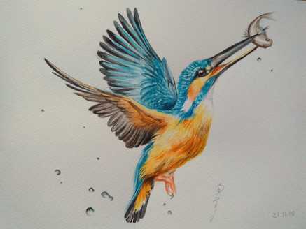 Fine detailed watercolour painting of a kingfisher flying with a fish in its beak, surrounded by droplets of water